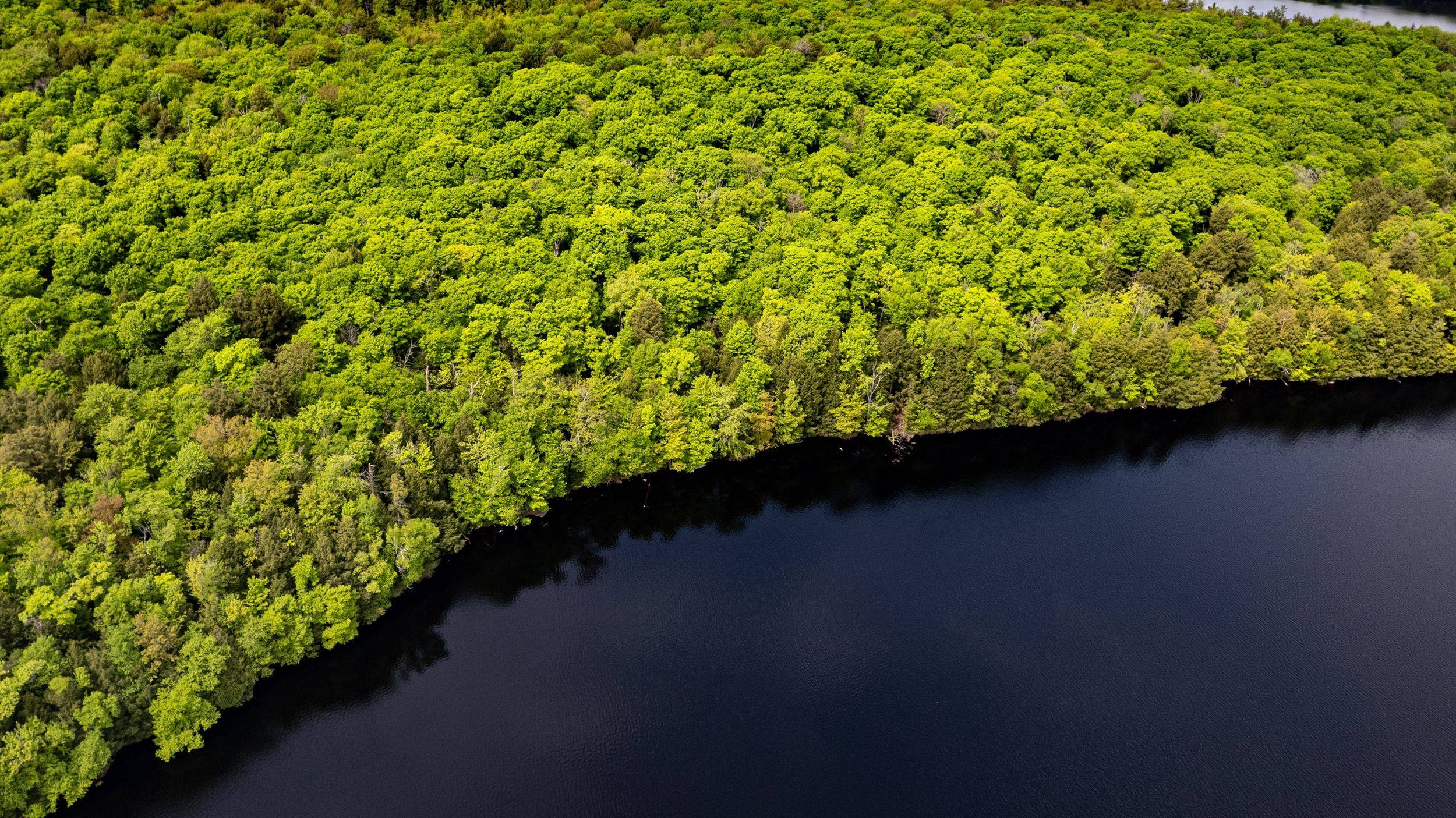 Muskoka Lakes, ON P1L 1X4,1310 Camel Lake RD #Unit 13 Lot 6