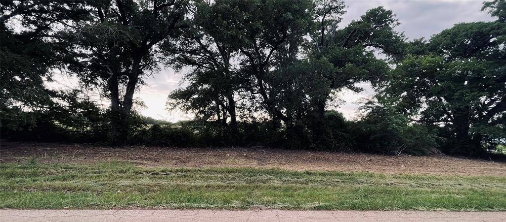 Alba, TX 75410,LOT 2 COUNTY ROAD 1560