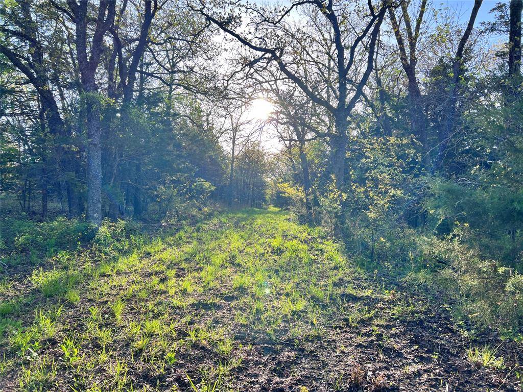 Muenster, TX 76252,00 County Road 417