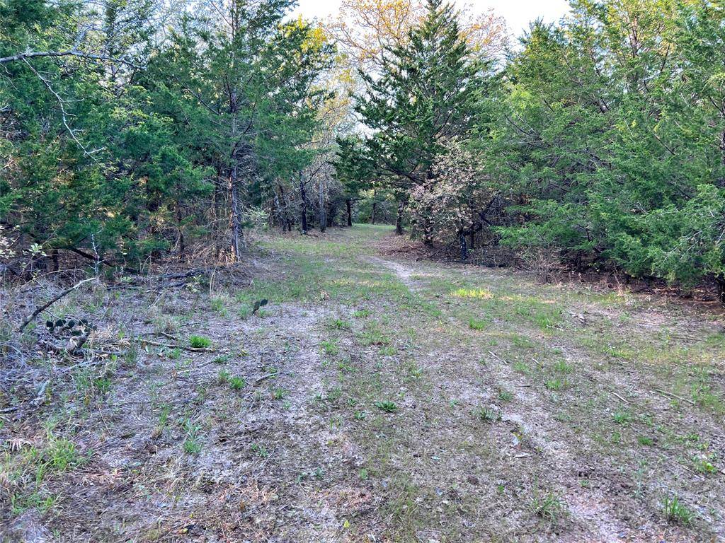 Muenster, TX 76252,00 County Road 417