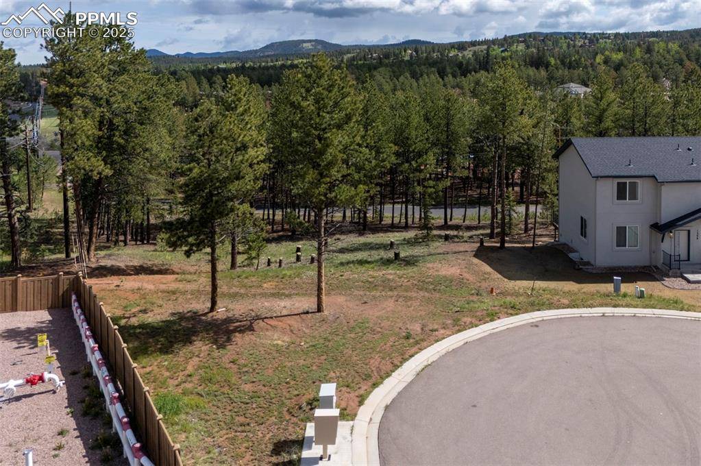 Woodland Park, CO 80863,1396 Roberts Ranch RD
