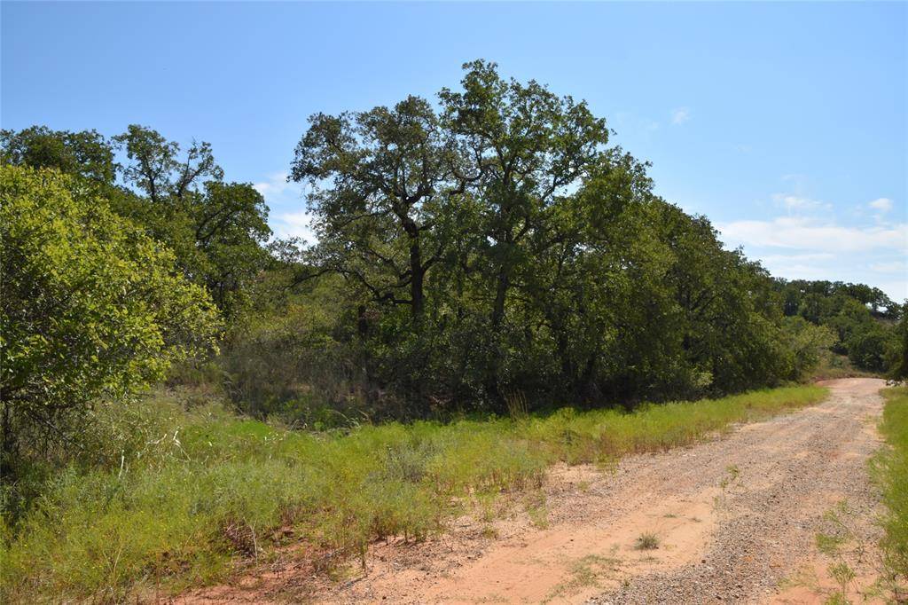 Nocona, TX 76255,0 Pecan Road