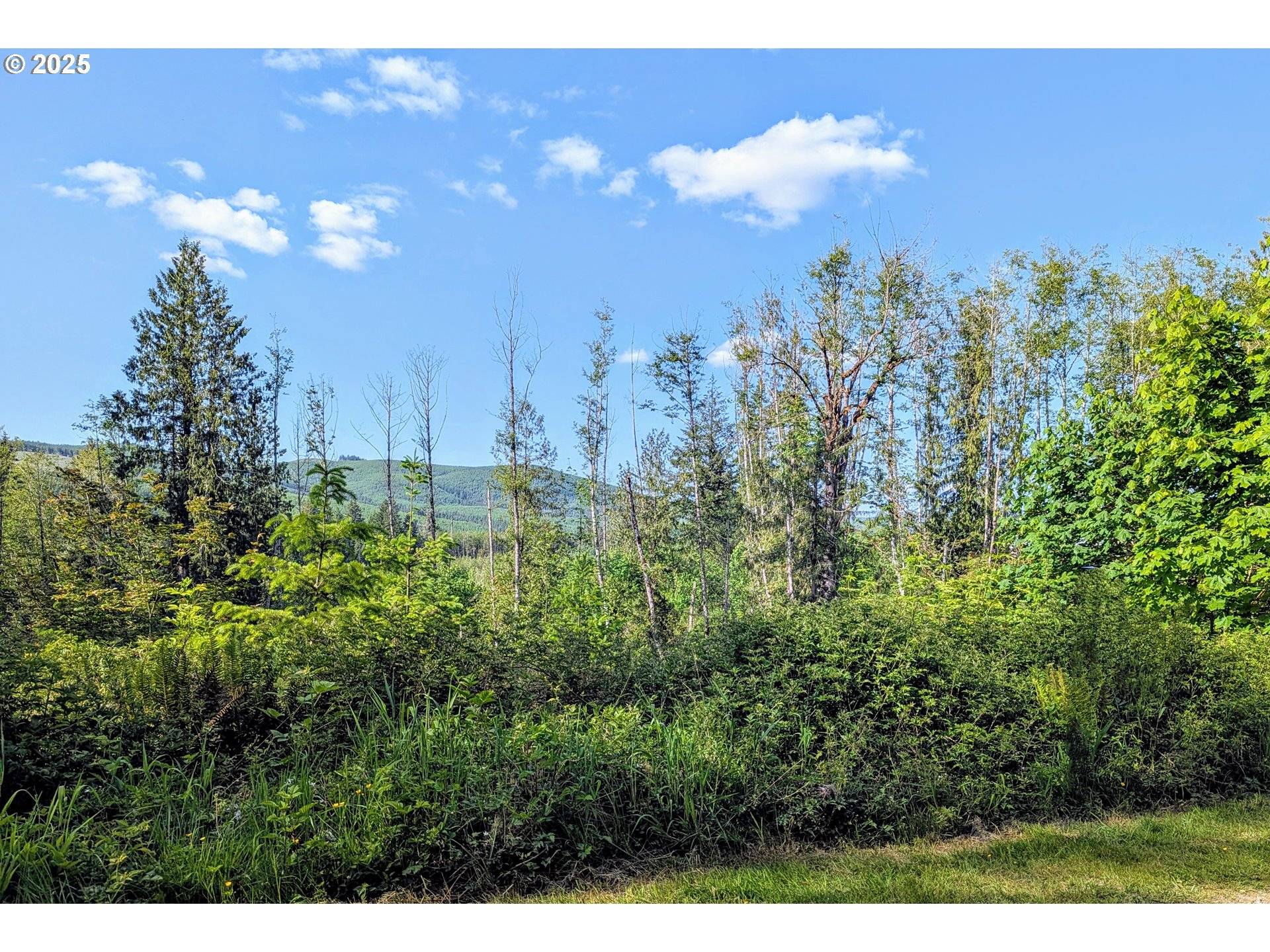 Toutle, WA 98649,267 WILDCAT RD