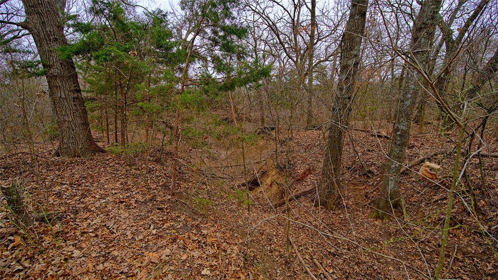 Forestburg, TX 76239,1501 Forrester Road