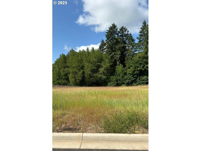 Lafayette, OR 97127,1487 N Millican Creek ST