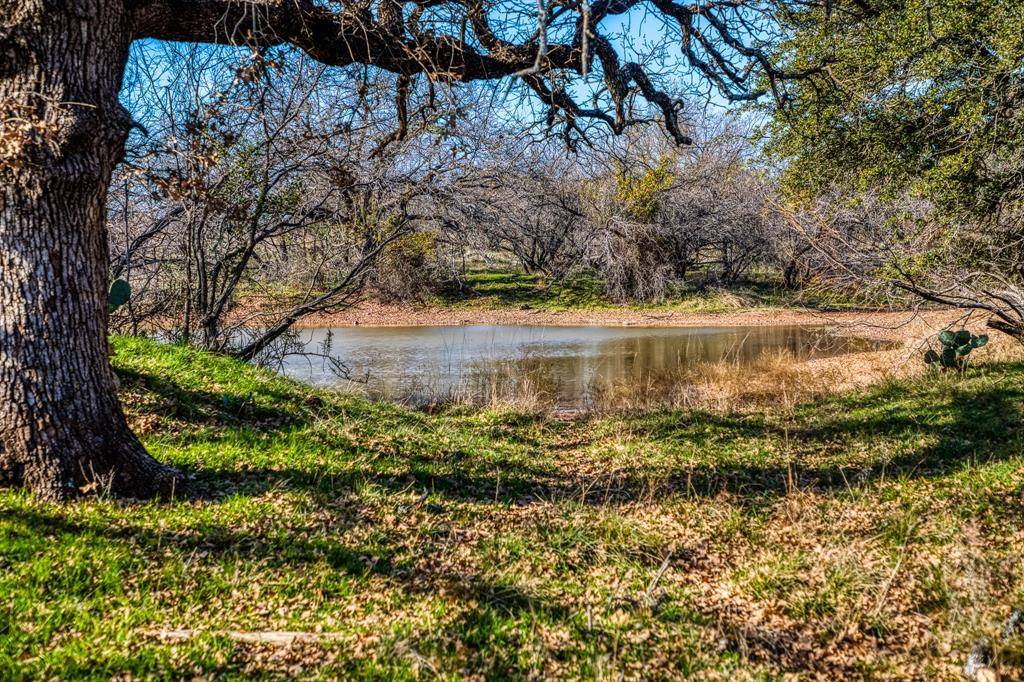Graham, TX 76450,TBD Reevs Road