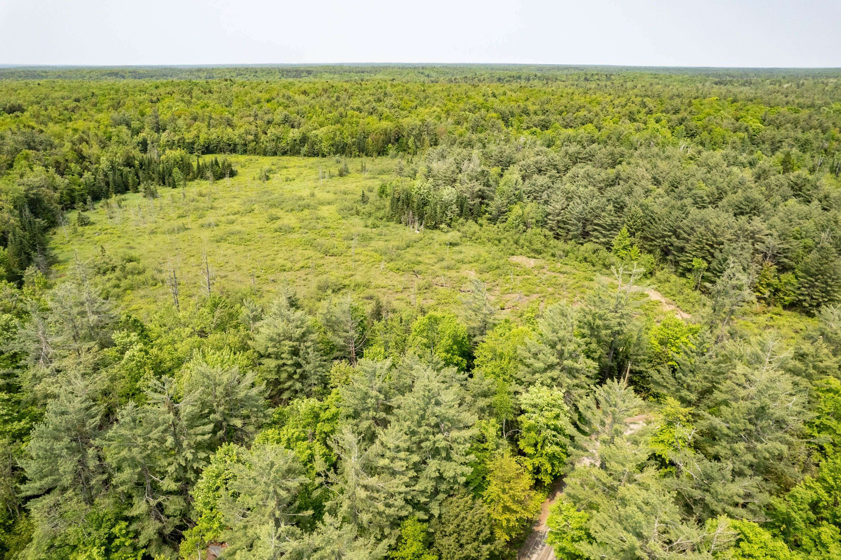 Bracebridge, ON P1L 1X1,1099 Peterson RD