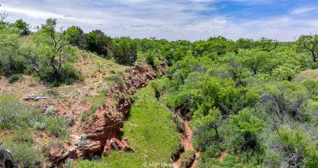 Rotan, TX 79546,TBD FM 618