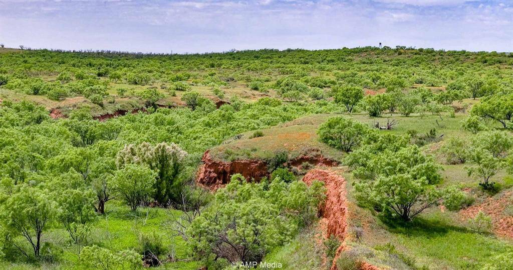Rotan, TX 79546,TBD FM 618