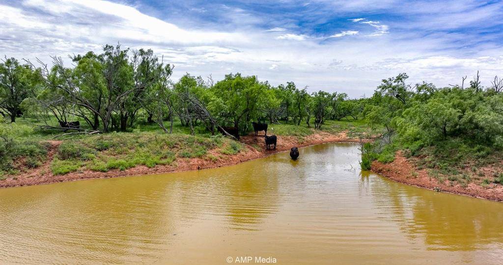 Rotan, TX 79546,TBD FM 618