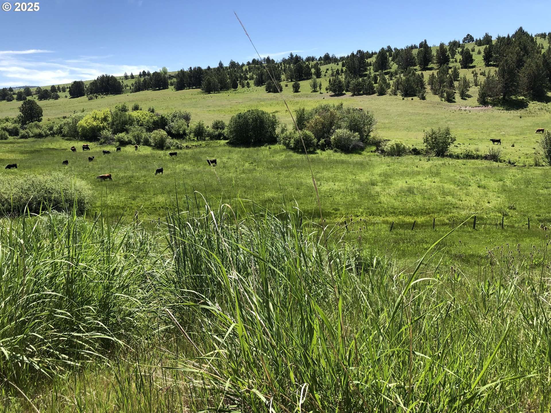 Long Creek, OR 97856,38932 HWY 395