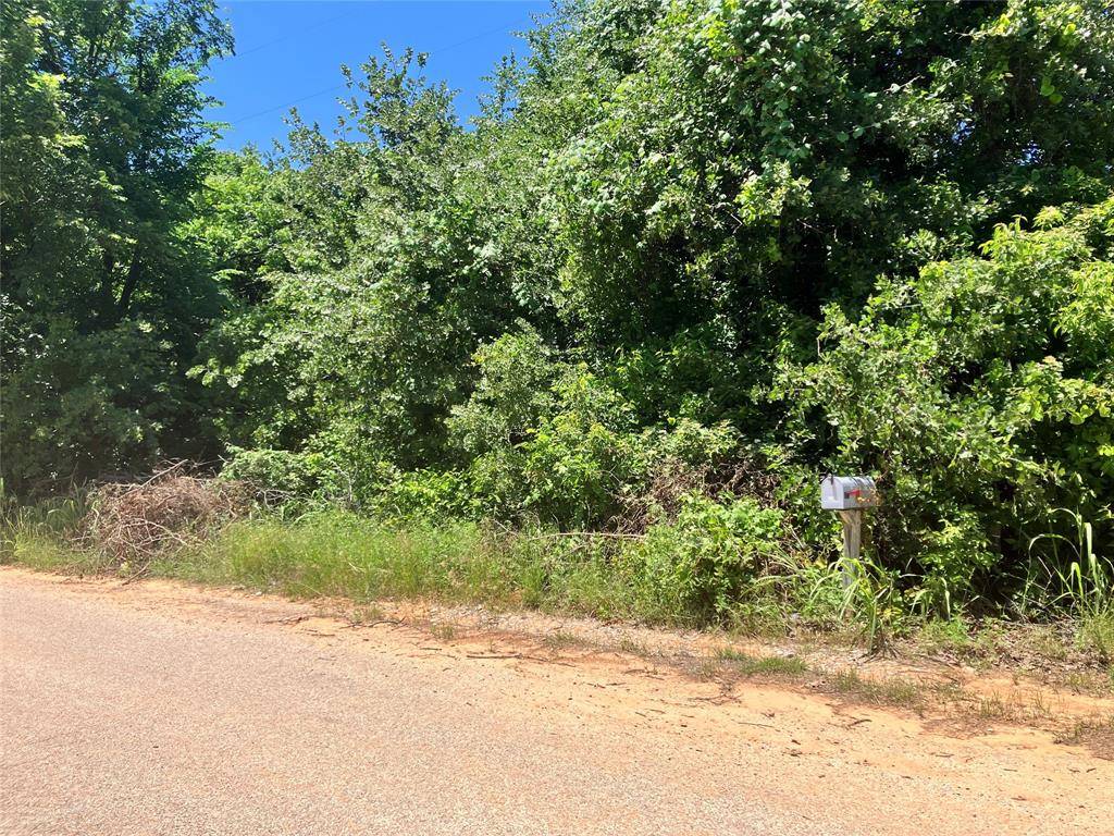 Springtown, TX 76082,600 Shady Hill Lane