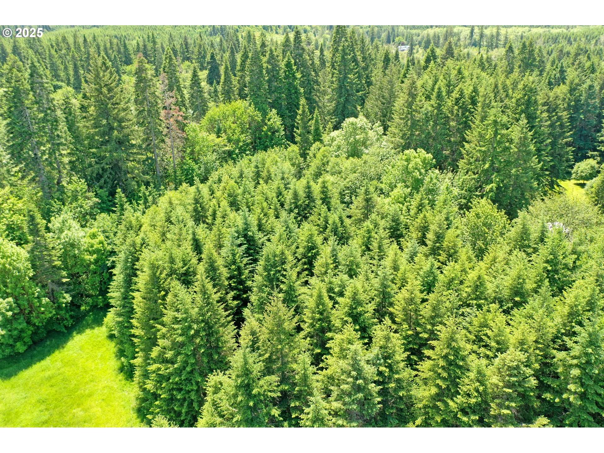 Vernonia, OR 97064,0000 Keasey RD