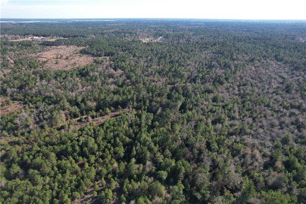 Plantersville, TX 77363,000 CR 302