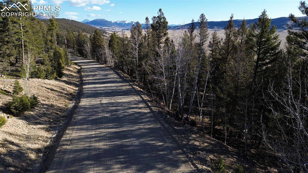 Fairplay, CO 80440,3132 Middle Fork VIS