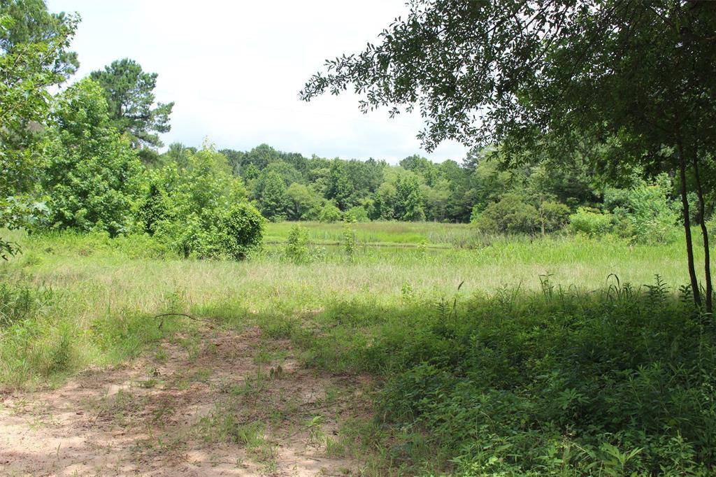 Grapeland, TX 75844,18.17 acres CR 1190