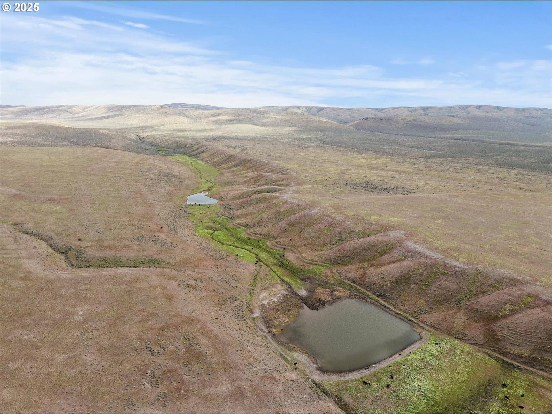 Baker City, OR 97814,Second Creek Lane