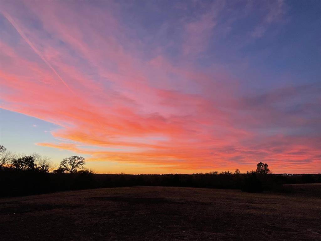 Dodd City, TX 75438,2825 County Road 2975