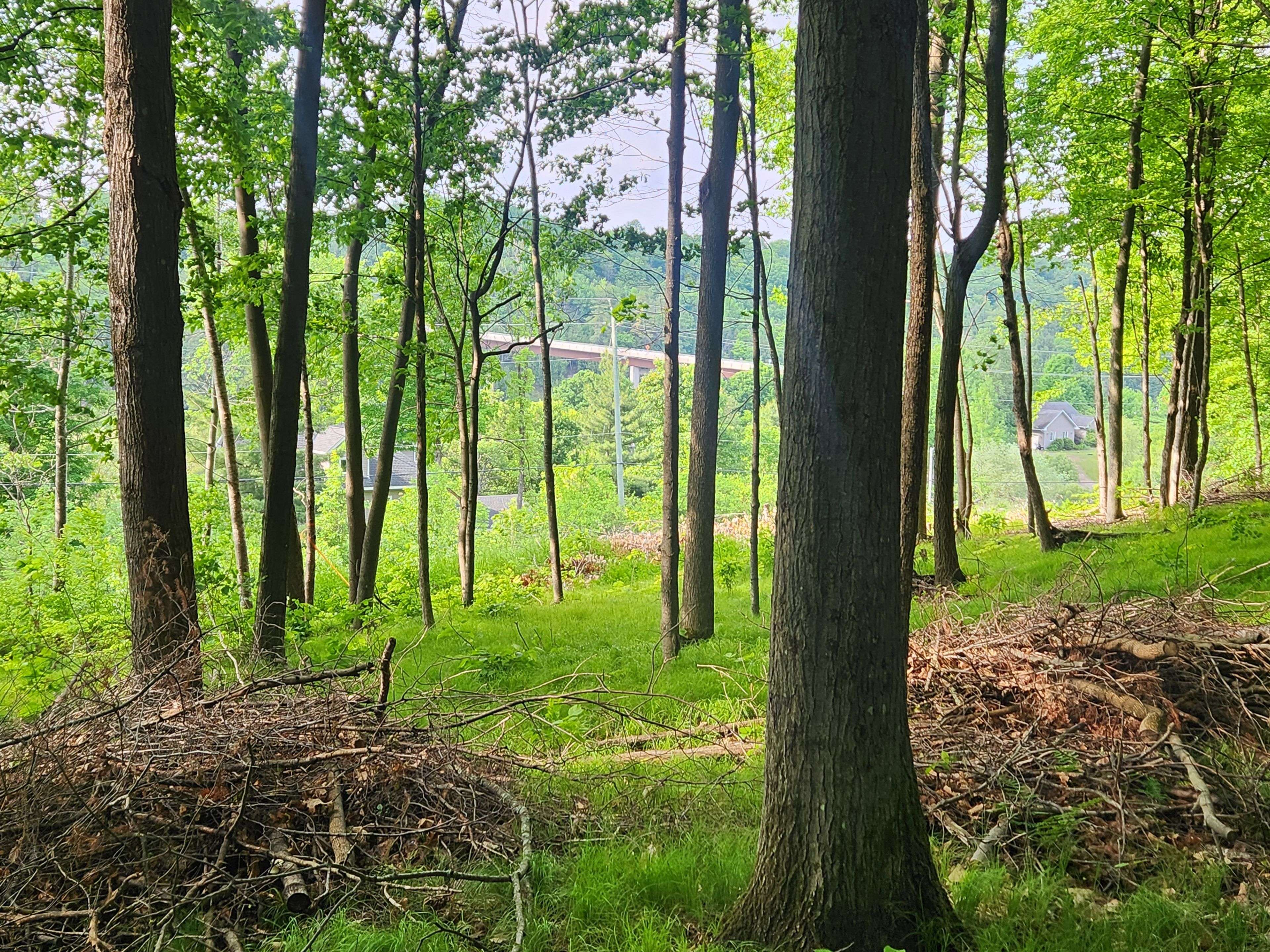 Mcnab/braeside, ON K0A 1G0,1680 CALABOGIE RD