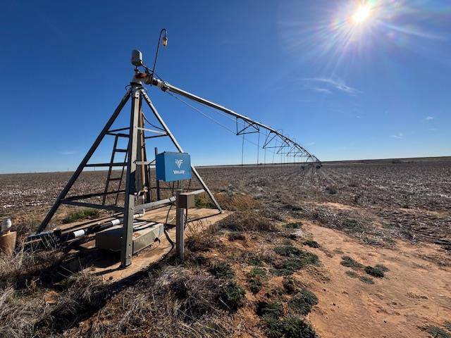 Loop, TX 79342,#000 County Rd 151