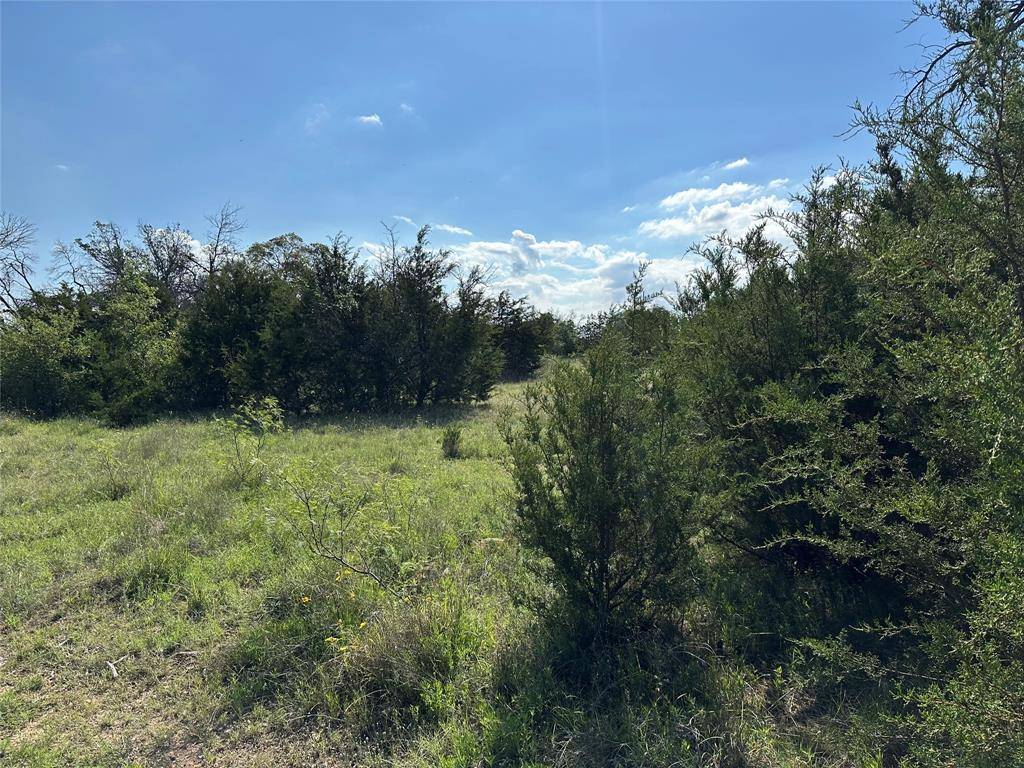Early, TX 76802,TBD County Road 291