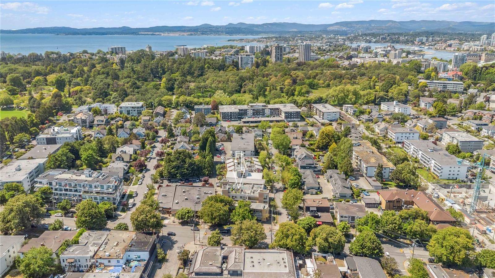 Victoria, BC V8V 3X3,240 Cook St #212