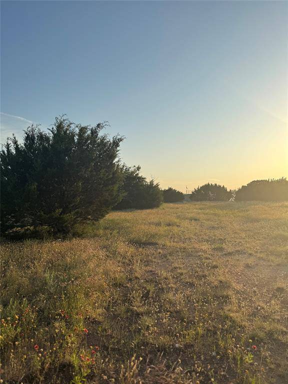 Desdemona, TX 76445,TBD Pecan Shell Road