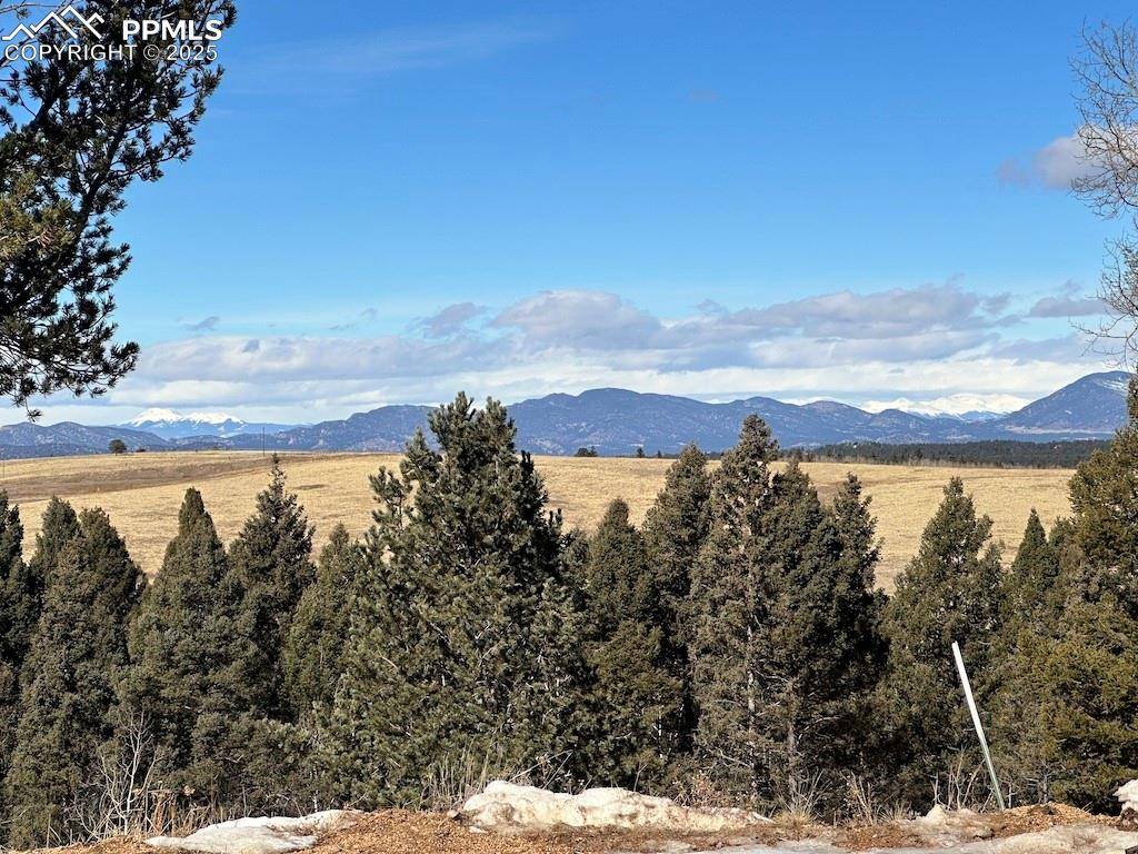 Divide, CO 80814,4600 Elk Valley RD