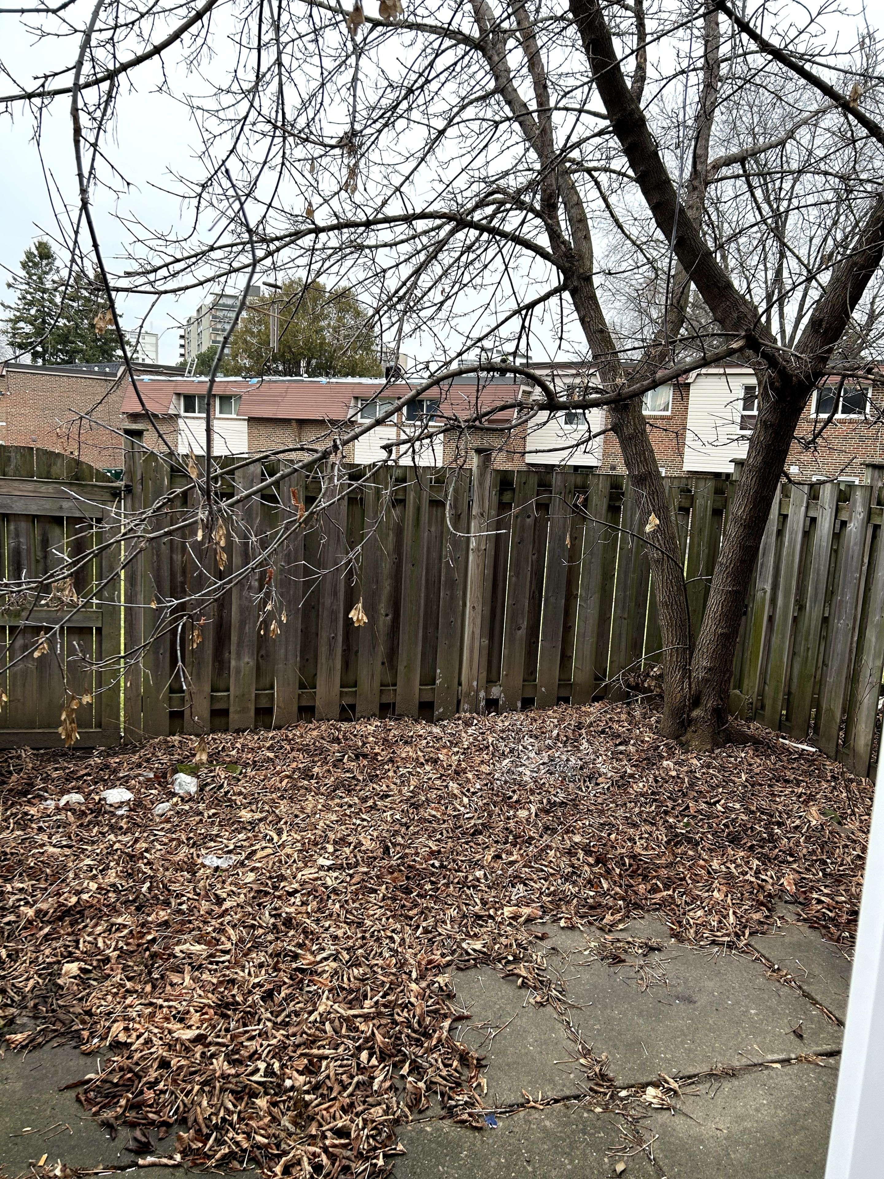 Toronto C15, ON M2J 3C8,69 Godstone DR #125