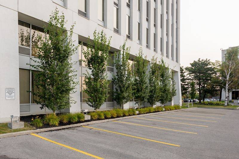 Toronto C15, ON M2J 2Y7,235 Yorkland BLVD #301