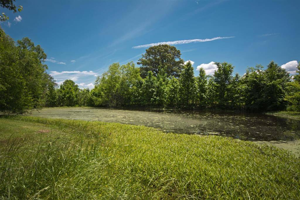 Mount Vernon, TX 75457,346 A NE County Road 2080