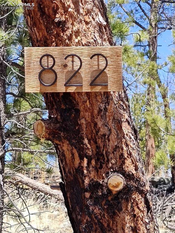 Florissant, CO 80816,822 Chateau West DR