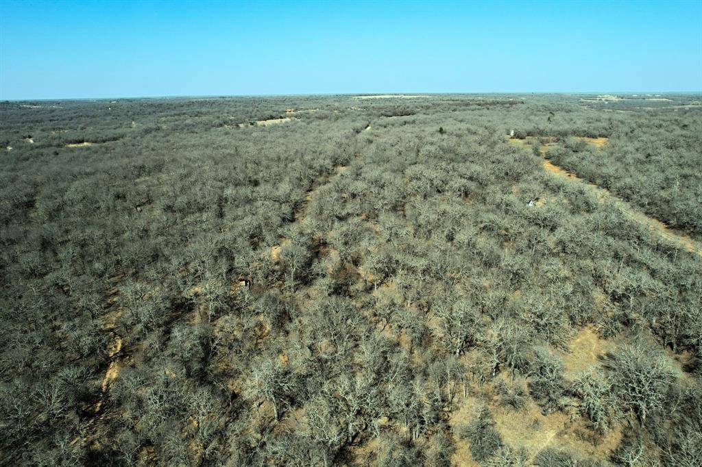 Chico, TX 76431,TBD Long Road