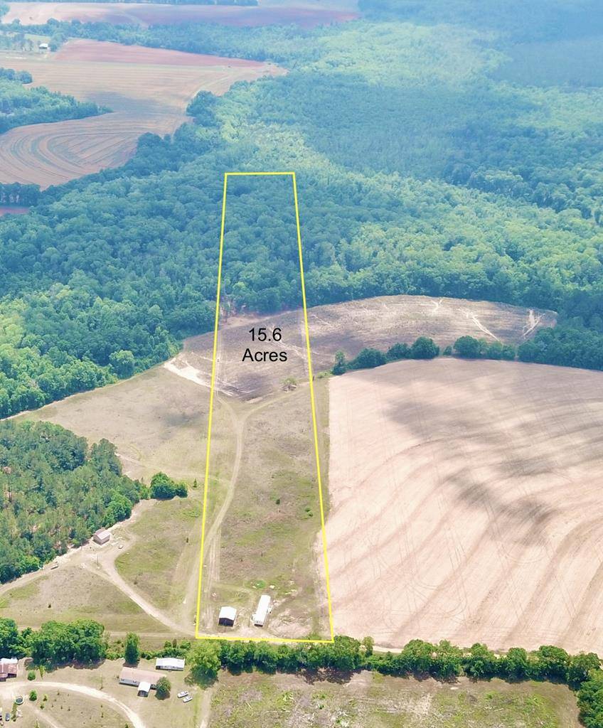 Rehobeth, AL 36301,681 Cobb Rd    15.6 Acres
