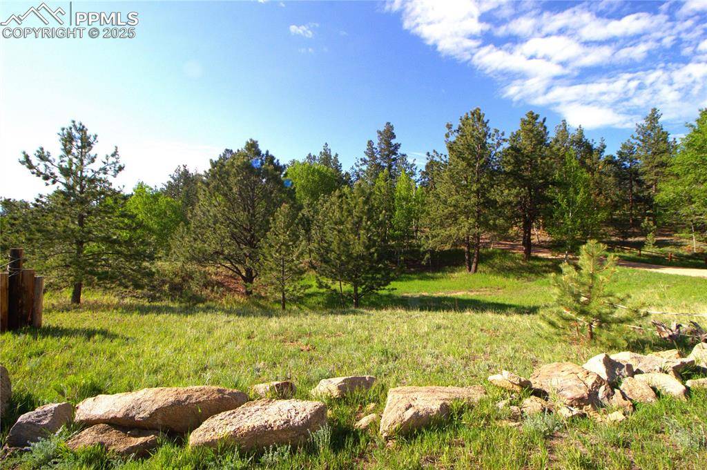 Lake George, CO 80827,523 Pulver RD