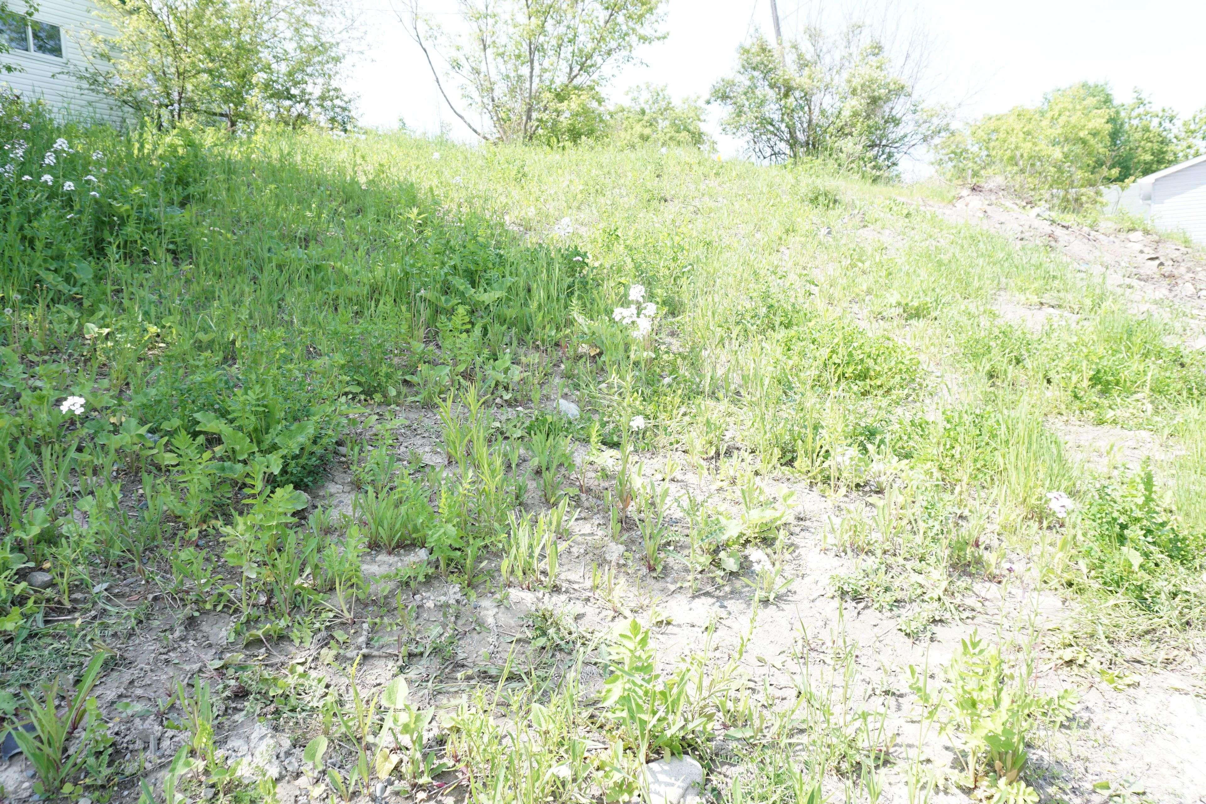 93 JAMIESON ST, Cobalt, ON P0J 1C0