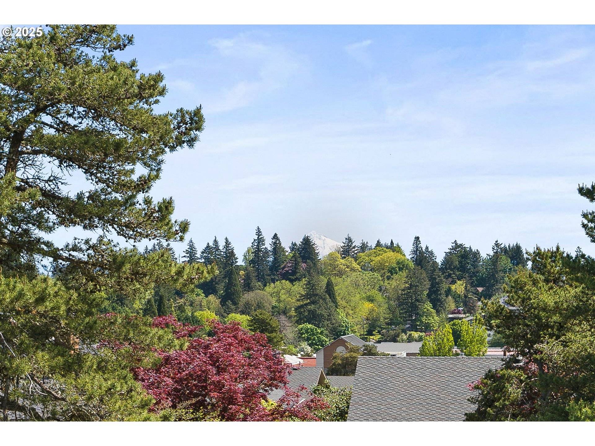 Lake Oswego, OR 97035,62 CONDOLEA TER