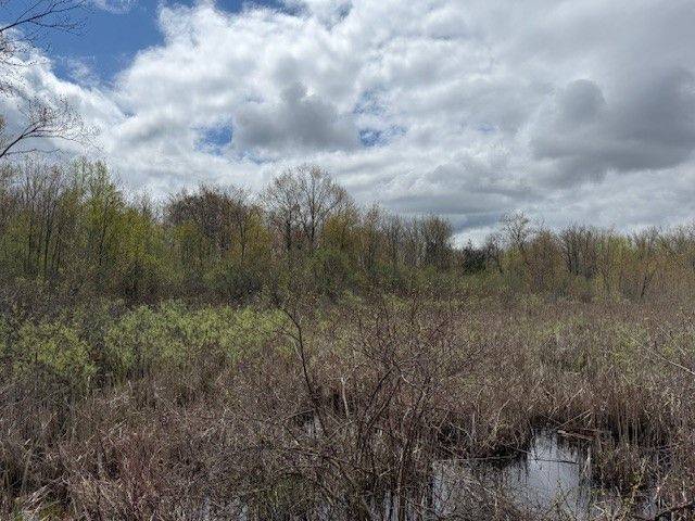 Trent Hills, ON K0K 3M0,PT LT 8 CONCESSION ROAD 10 N/A