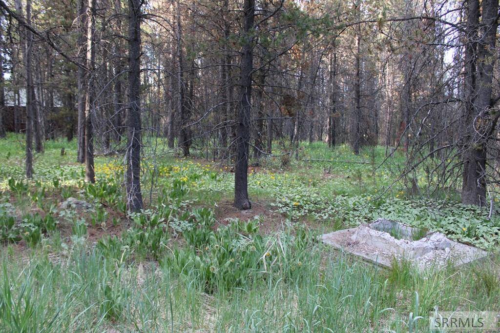 Island Park, ID 83429,3511 Buffalo Lane