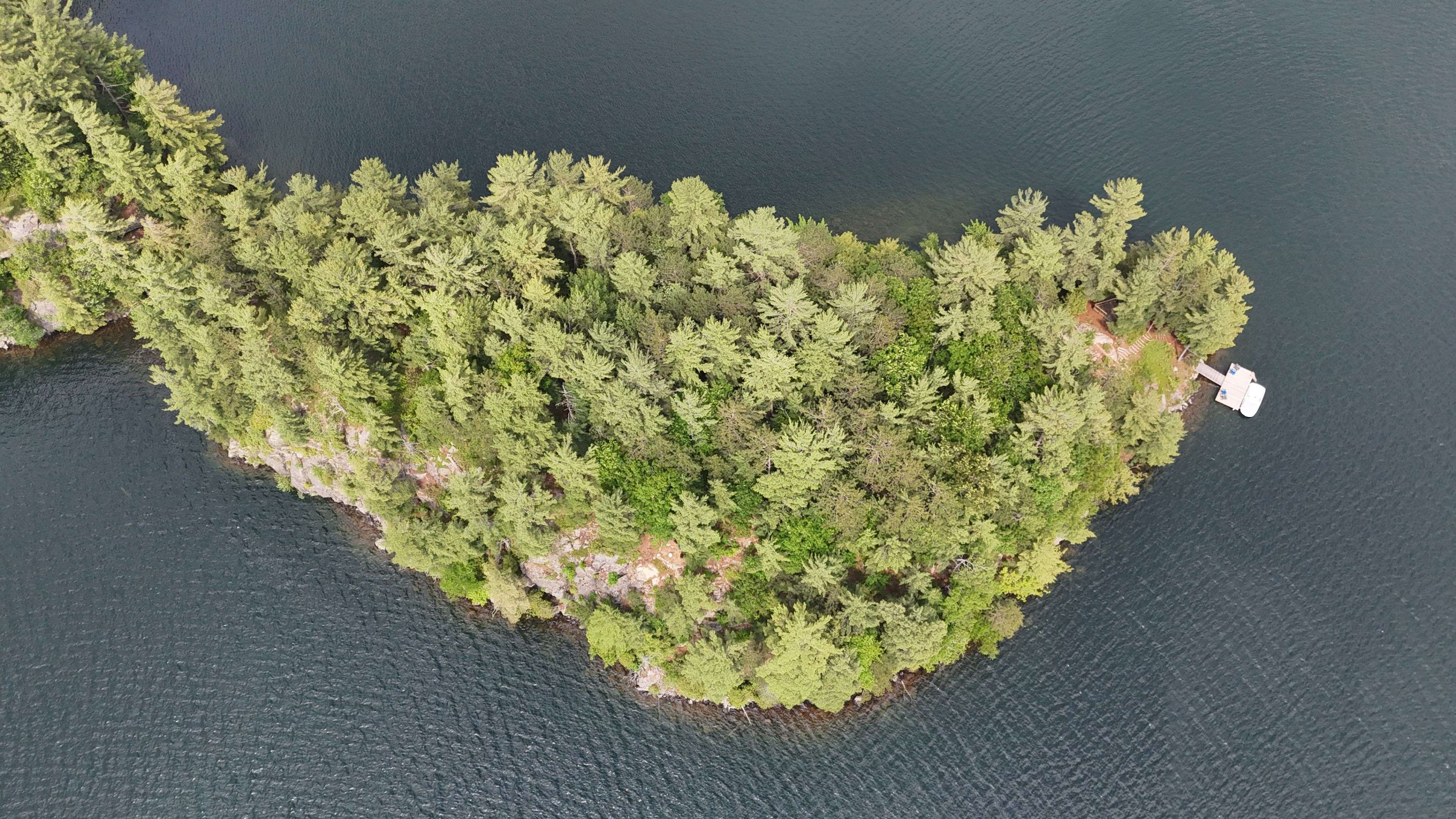 Muskoka Lakes, ON P0B 1M0,11 Island Skeleton Lake 14 N/A