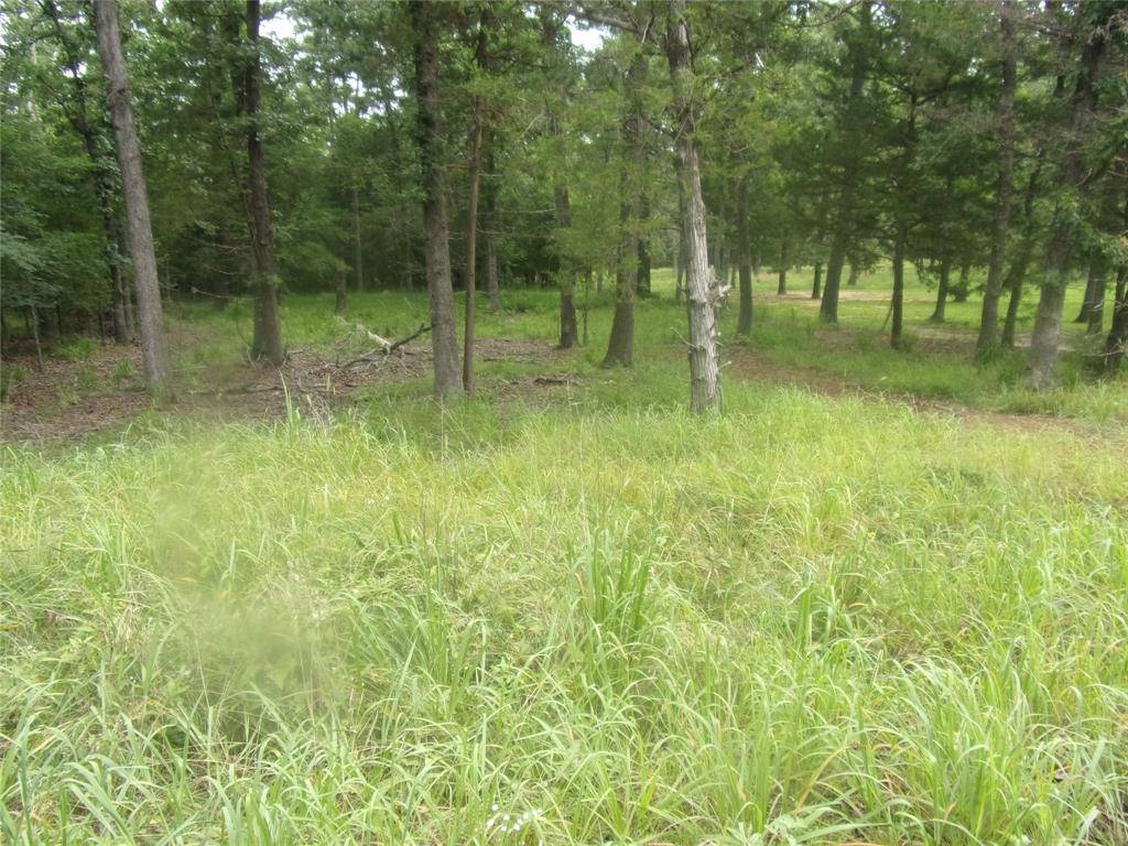 Murchison, TX 75778,944 Whipporwill