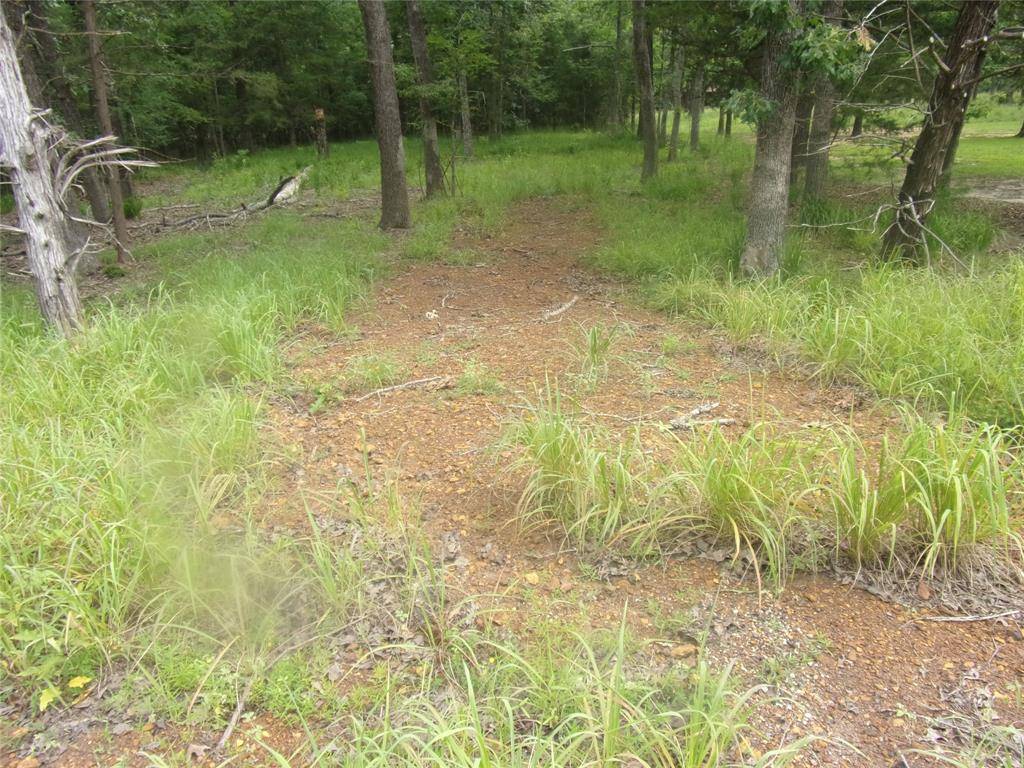 Murchison, TX 75778,944 Whipporwill