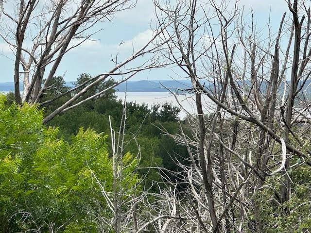 Possum Kingdom Lake, TX 76449,1067 Enchanted Rock Court
