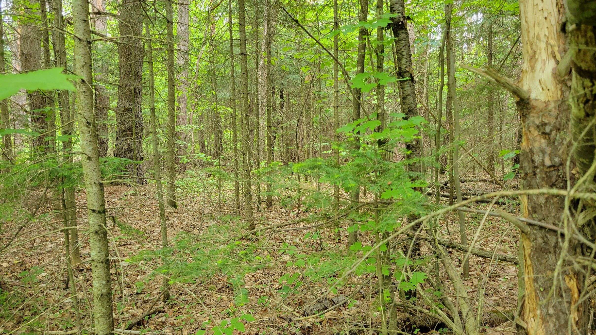 Sundridge, ON P0A 1Z0,99 Albert ST
