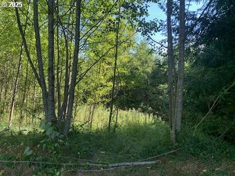 Toutle, WA 98649,0 2500 RD