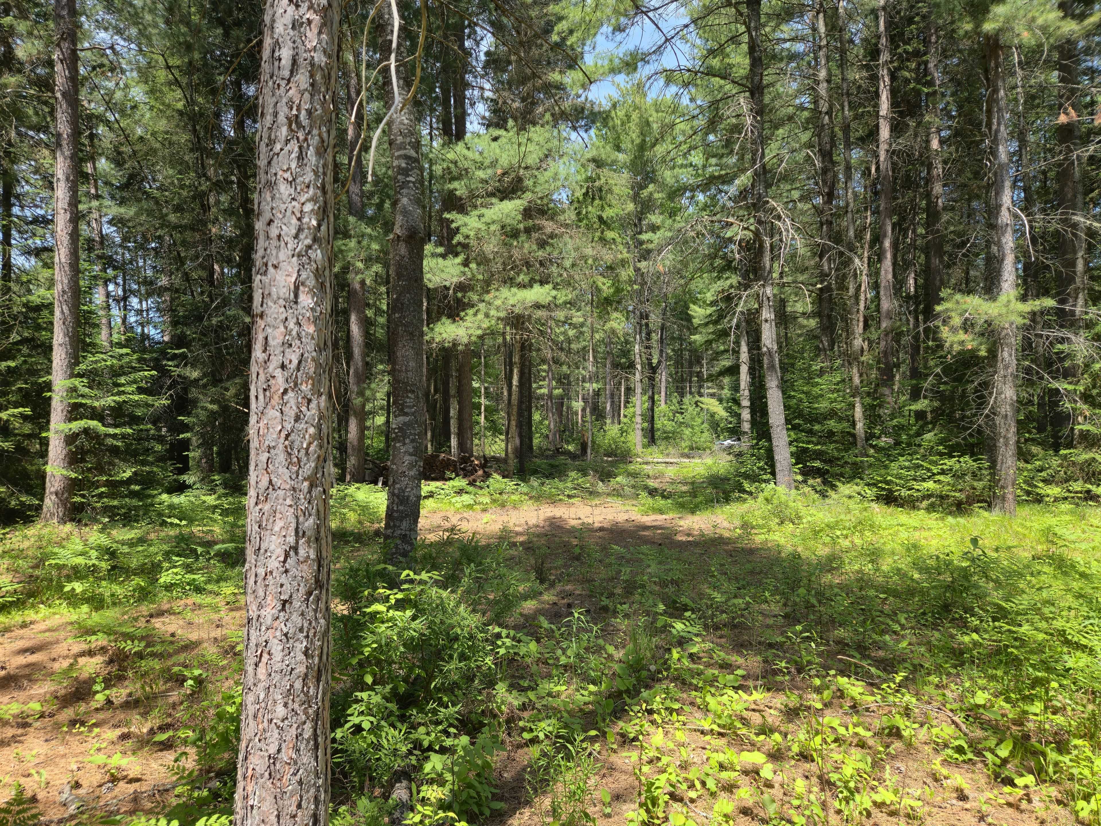 Greater Madawaska, ON K0J 2R0,66 Ginza ST
