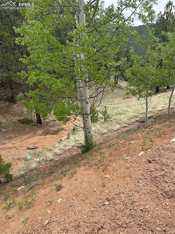 Divide, CO 80814,1600 Pikes Peak DR