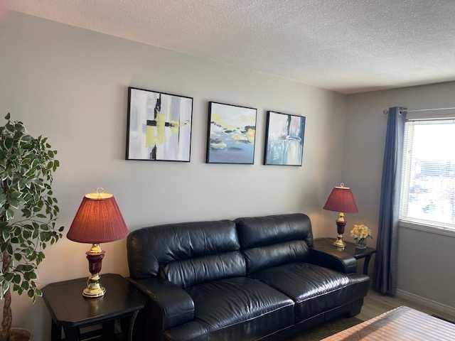 Lethbridge, AB T1J 5Y5,5 Tartan BLVD W #5