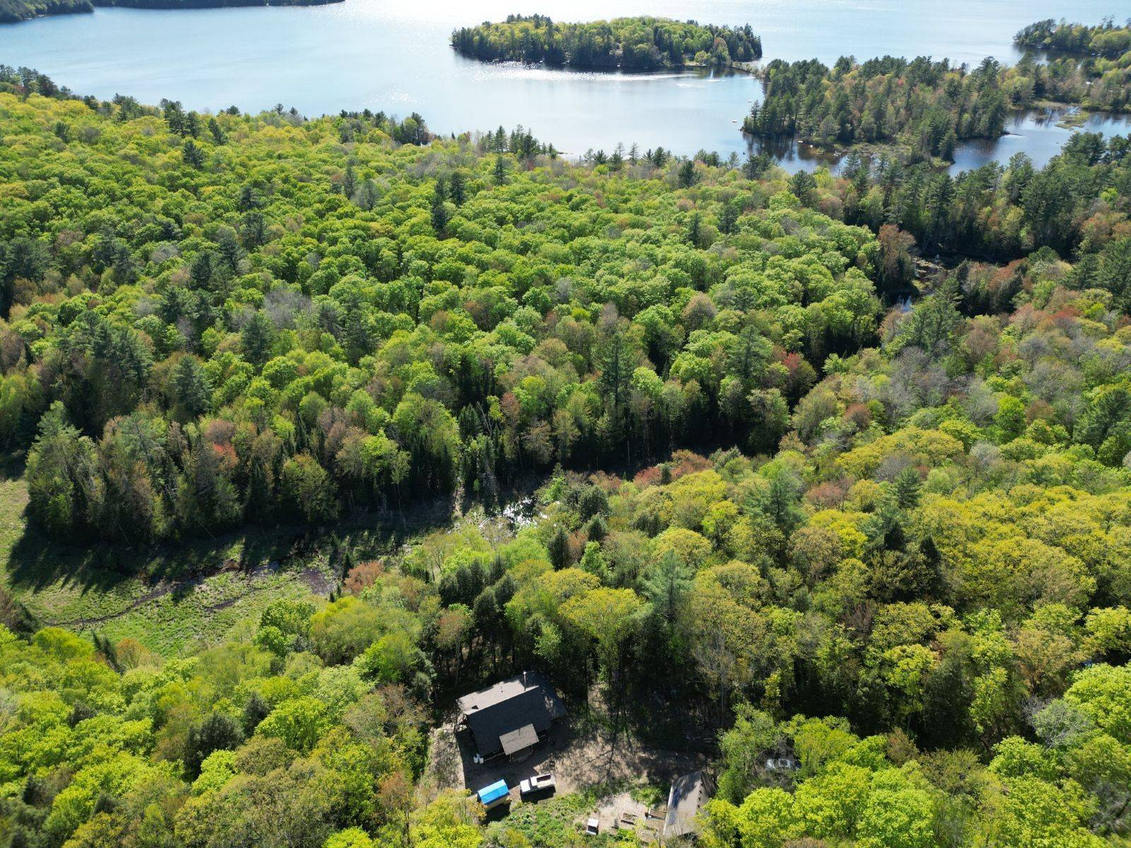 Algonquin Highlands, ON K0M 1S0,1532 Braeloch RD