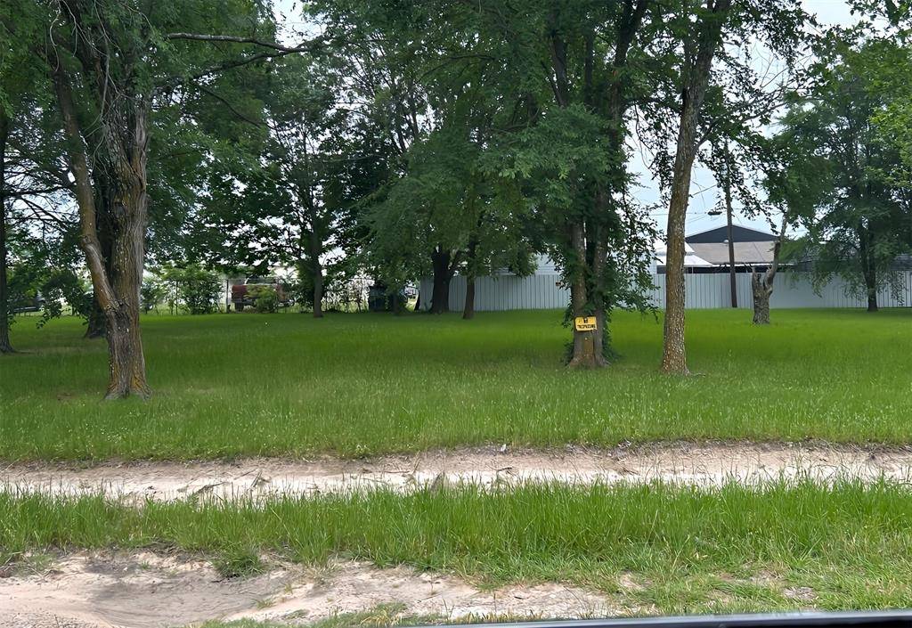 Gun Barrel City, TX 75156,TBD Loon Bay Drive